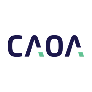 Logo_Caoa 1